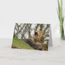 Search for jungle birthday cards Roar