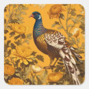 Search for pheasant stickers Wildlife