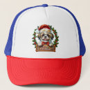 Search for cute christmas hats Santa