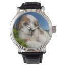 Search for cute dog watches Animal