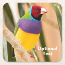 Search for parakeet coasters Pet
