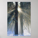 Search for large format art Winter