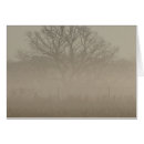 Search for foggy Photography