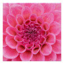 Search for 20x20 posters Paper