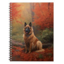 Search for belgian notebooks Pet