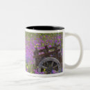 Search for blue bonnet mugs Season