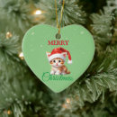 Search for costume christmas tree decorations Xmas