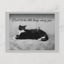 Search for annoyed postcards Annoying