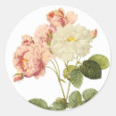 Search for b 2 Floral