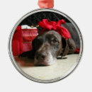 Search for german shorthaired pointer christmas tree decorations Gsp
