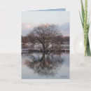 Search for willow tree cards Nature