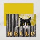 Search for cat adoption cards Animal rescue