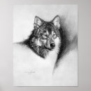 Search for wolf drawing art Pencil