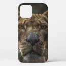 Search for brown bear iphone cases Landscape