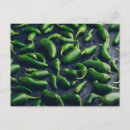 Search for peppers postcards Hot pepper