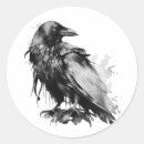 Search for white raven stickers Black and white