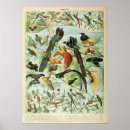 Search for tropical bird art Antique