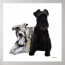 Search for schnauzer puppy posters Puppies