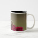 Search for tree frog coffee mugs Wildlife