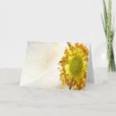 Search for sunshine flower cards Floral