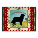 Search for berner sennenhund postcards Bernese