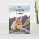 Search for squirrel puns cards Humour