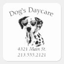 Search for dog grooming business supplies Veterinary
