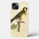 Search for perched cases Cream background