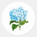 Search for blue hydrangea stickers Preppy