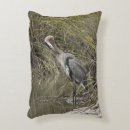 Search for marsh cushions Heron
