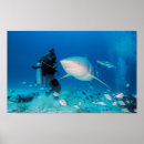 Search for dive gear art Scuba diving