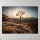 Search for mexico landscape posters Travel