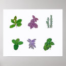Search for herb art Sage