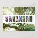 Search for lively postcards Travel