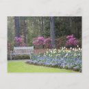 Search for nature border postcards Flower