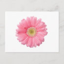 Search for single flower postcards Floral