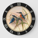 Search for birds clocks Illustration