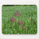 Search for rain mousepads Wild