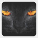 Search for panther stickers Feline