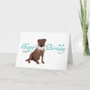 Search for chocolate labrador retriever cards Brown lab