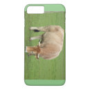 Search for livestock iphone cases Cattle