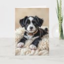 Search for cute pillow cards Dog