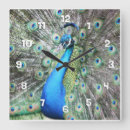 Search for tail feathers art Blue