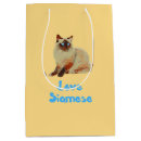 Search for cat gift bags Lover