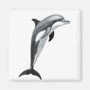 Search for dolphin vector Sea