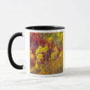 Search for canyon mugs Utah