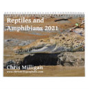Search for reptile calendars Photography