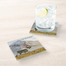 Search for range coasters Alaska