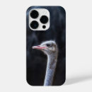 Search for ostrich iphone cases Birds