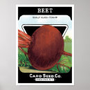 Search for beet art Vintage